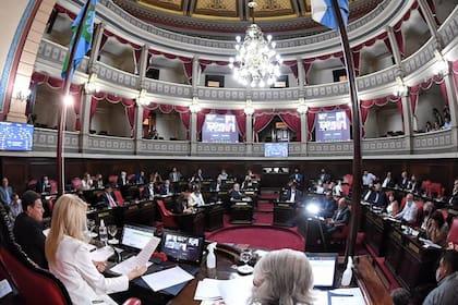 El Senado bonaerense sancionó el Presupuesto 2022 enviado por Kicillof.