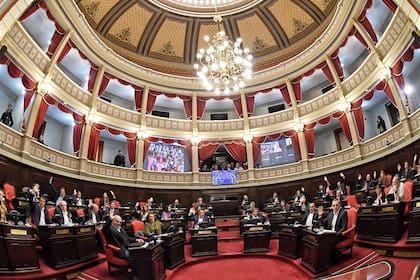 El Senado bonaerense solo tuvo dos sesiones en los últimos meses