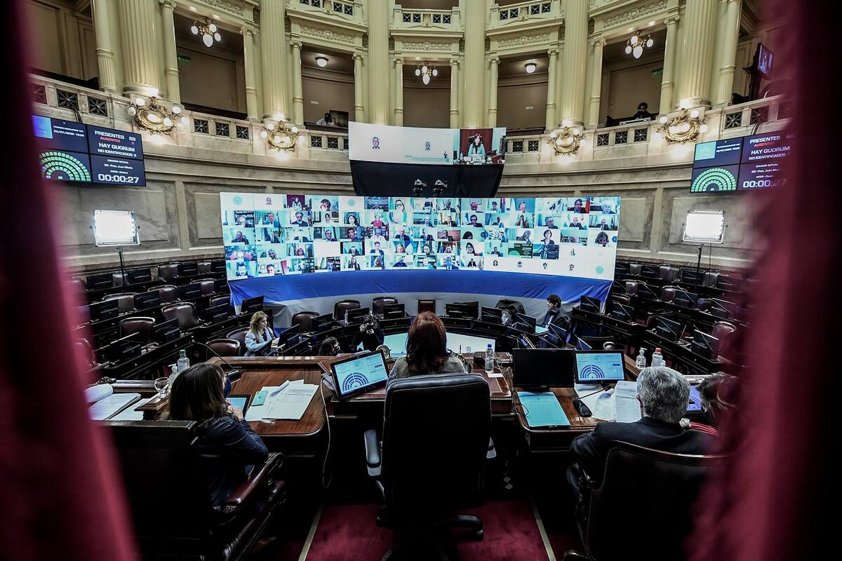 El Senado comenzó la sesión especial por videoconferencia en la que buscará aprobar un paquete de leyes vinculados a la promoción de la donación de plasma y otros temas sanitarios