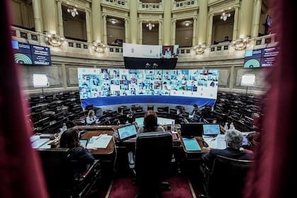 El Senado comenzó la sesión especial por videoconferencia en la que buscará aprobar un paquete de leyes vinculados a la promoción de la donación de plasma y otros temas sanitarios