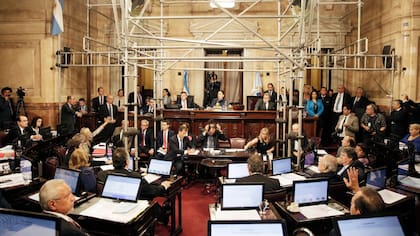 La ley fue aprobada en el Senado el 29 de marzo; no regula una parte sensible del reclamo por la legalización del uso medicinal de la planta de marihuana: la despenalización del cultivo doméstico