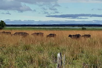 El Senado de Corrientes teme por el impacto de los proyectos en el Congreso de la Nación