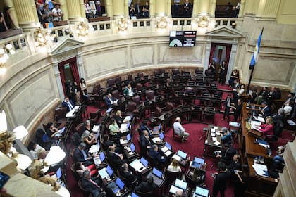 El Senado de la Nación