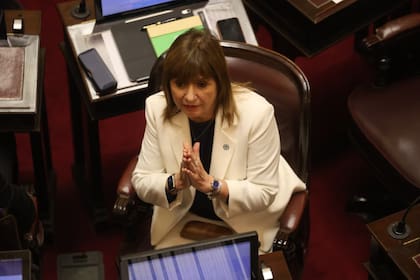 El Senado debate la Ley de Glaciares (N° 26.639) impulsada por el Poder Ejecutivo; Patricia Bullrich en el Senado