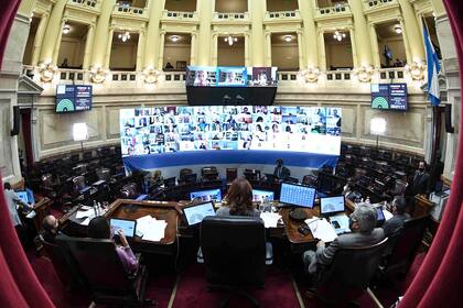 El Senado debatía esta tarde por videoconferencia el proyecto de ley de teletrabajo