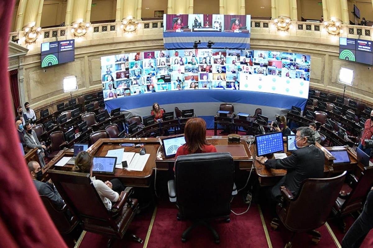 El Senado hará hoy solo una sesión de homenaje