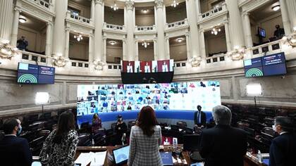 Cristina Kirchner, en el Senado