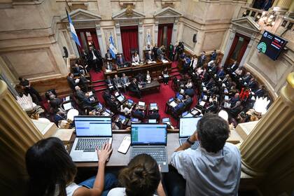 El Senado ratificó este jueves el acuerdo de libre comercio entre el Mercosur y la Unión Europea por amplia mayoría