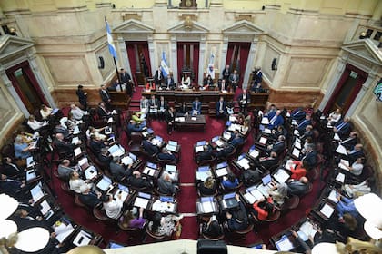 El Senado rechazó el DNU que presentó el gobierno de Javier Milei; todavía puede ser aprobado en Diputados