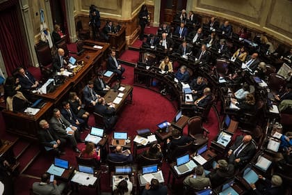 Sesión bisagra en el Senado: la oposición se encamina a sostener la ley de discapacidad y limitar los DNU