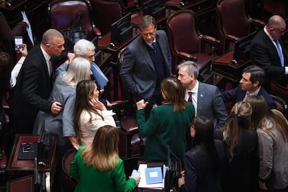 El Senado tuvo una ardua sesión por la ley de tierras