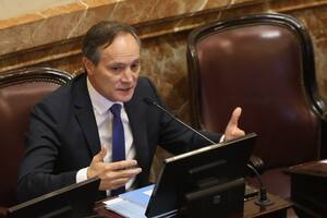 El senador Carlos Espínola