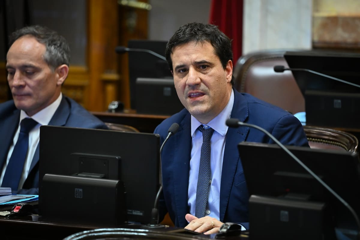 El senador del bloque UCR, Maximiliano Abad