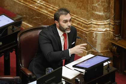 El senador Ezequiel Atauche, jefe del bloque oficialista de La Libertad Avanza