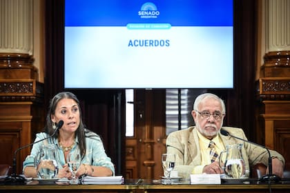 El senador Juan Carlos Pagotto (LLA) preside la Comisión de Acuerdos en el Senado