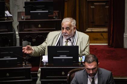 El senador Juan Carlos Pagotto, presidente de la comisión bicameral de Trámite Legislativo, encargada de discutir la pertinencia de los DNU