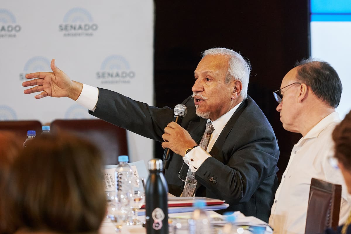 El senador Juan Carlos Romero durante el tratamiento del proyecto de Ley de Bases.