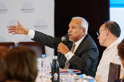 El senador Juan Carlos Romero durante el tratamiento del proyecto de Ley de Bases.
