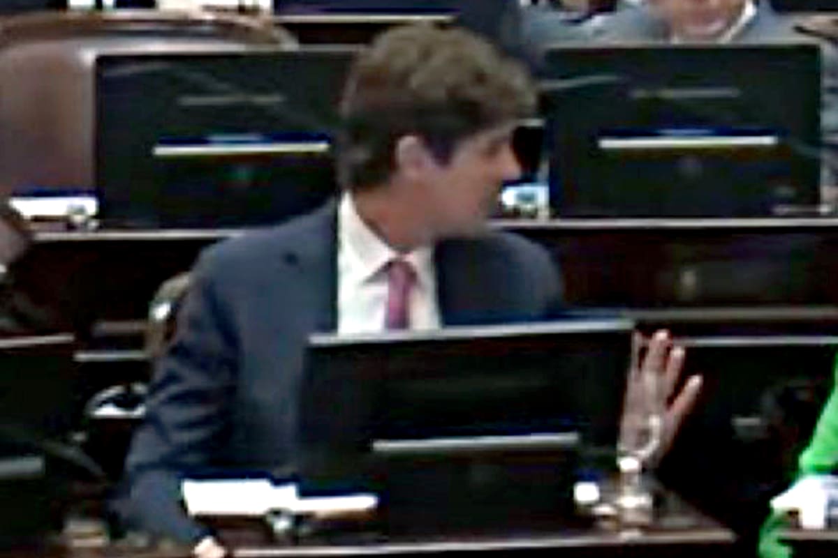 El senador Lousteau, en el momento de votar el aumento de las dietas