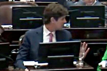 El senador Lousteau, en el momento de votar el aumento de las dietas