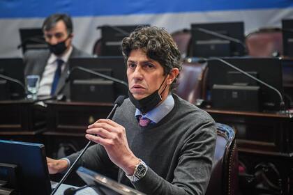 El senador Martín Lousteau