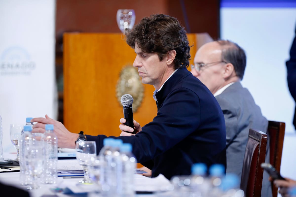 El senador Martín Lousteau.