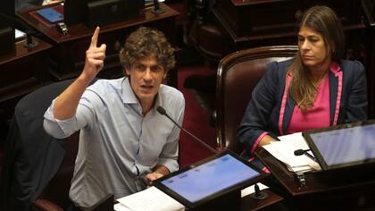 El senador Martín Lousteau se pronunció respecto de la media sanción de la emergencia pediátrica en el Garrahan.