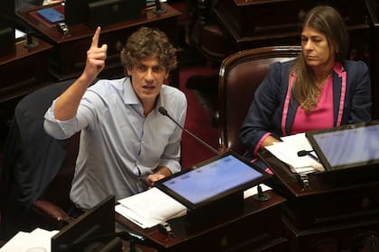 El senador Martín Lousteau se pronunció respecto de la media sanción de la emergencia pediátrica en el Garrahan.