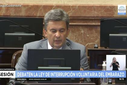 El senador opositor Zimmermann dijo que el aborto "es un tema científico y de dilema moral"
