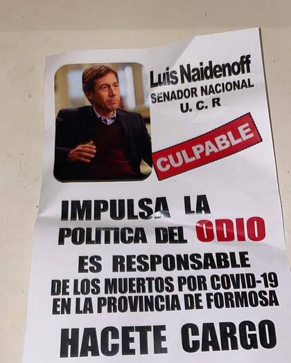 El senador radical Luis Naidenoff, quien ha recurrido a la Comisión Interamericana de Derechos Humanos por las reiteradas denuncias por el manejo sanitario y la privación de libertades en la provincia de Formosa, fue acusado de impulsar "la política del odio" en la provincia