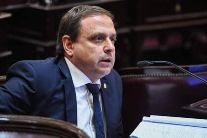 El senador Snopek es el autor del proyecto de intervención del Poder Judicial jujeño