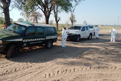 El Senasa detectó dos casos de influenza aviar en granjas de corral