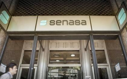 El Senasa es el organismo encargado de la normativa