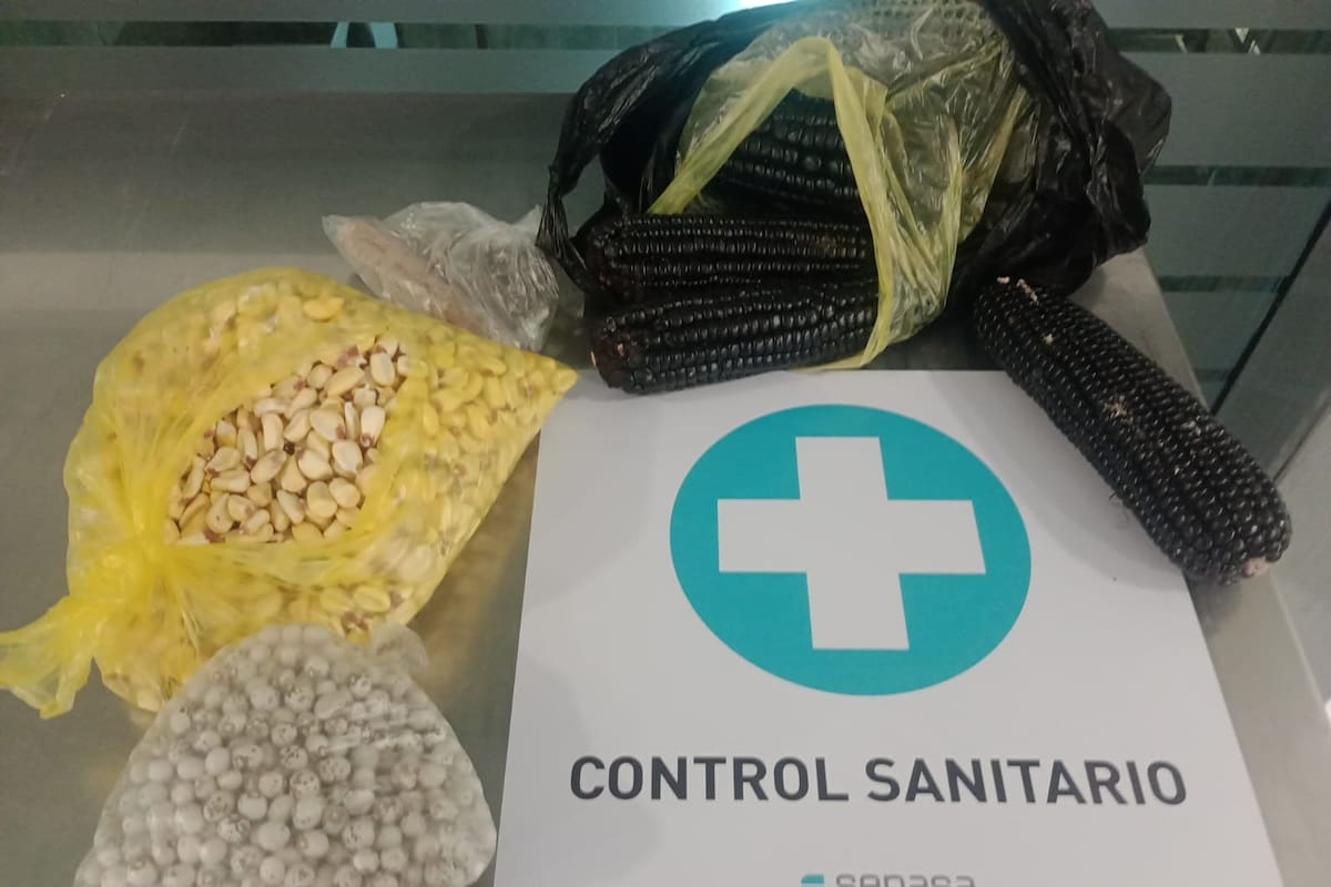El Senasa evitó el ingreso de granos de maíz amarillo y negro y soja que se encontraban en la valija de un pasajero procedente de Perú