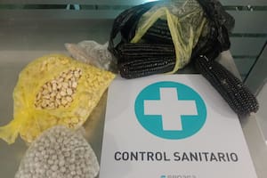 Quiso entrar con granos de maíz y de soja desde Perú y lo frenaron en el aeropuerto
