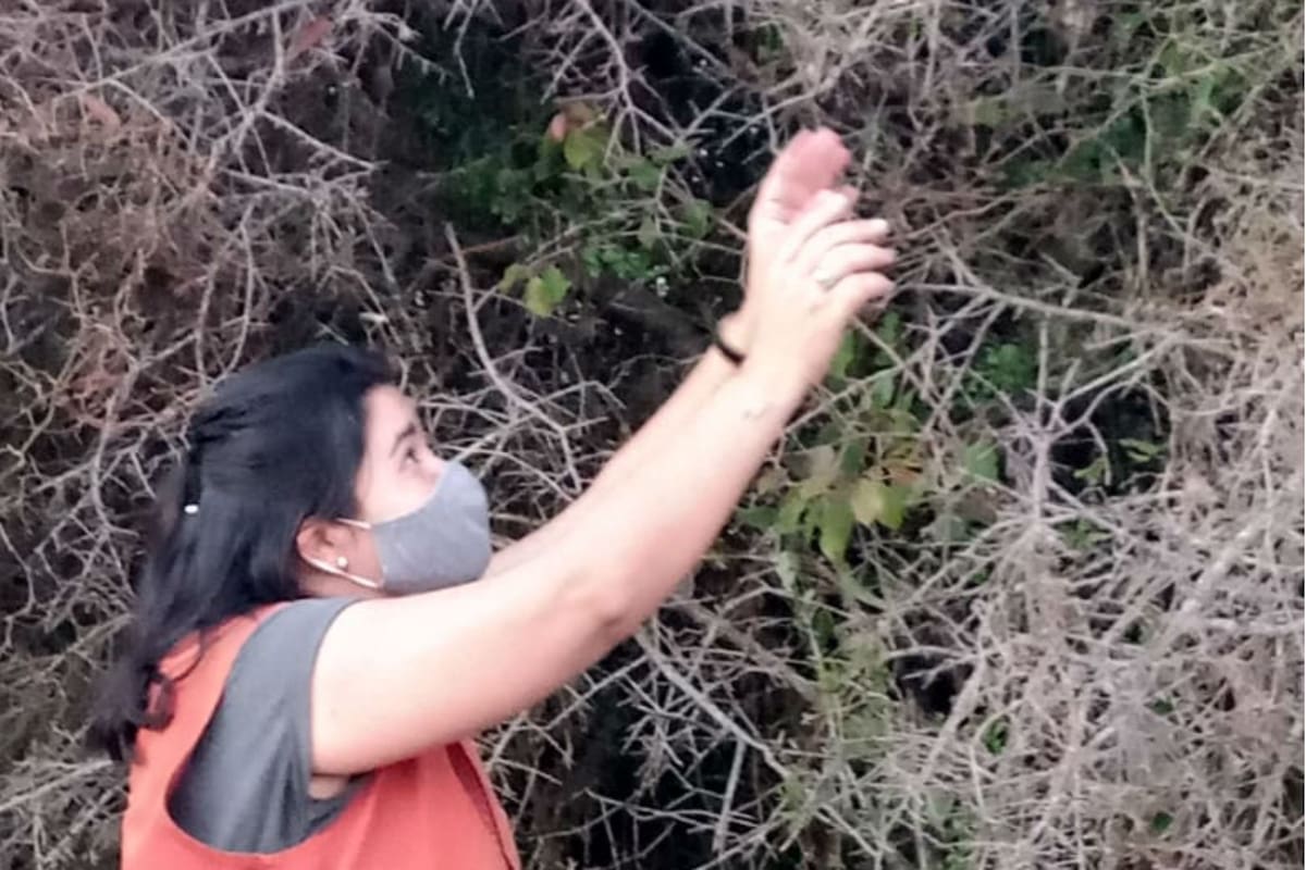 El Senasa fumigó gran parte de la localidad de Villa Córdoba, Corrientes