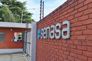 Temen que se cierren mercados en ovinos y subproductos cárnicos por una enfermedad que investiga el Senasa