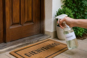 Qué beneficios tiene rociar vinagre en la entrada del hogar
