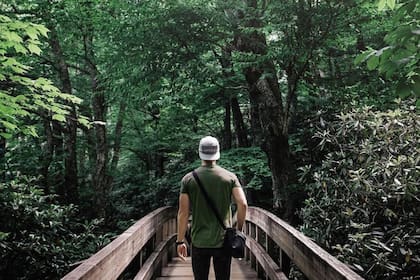 El sendero Tanawha en Blue Ridge Parkway permite avistar diferentes especies a lo largo de la primavera (IG: exploreboone)
