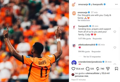 El sentido mensaje de Países Bajos y Liverpool para Gakpo