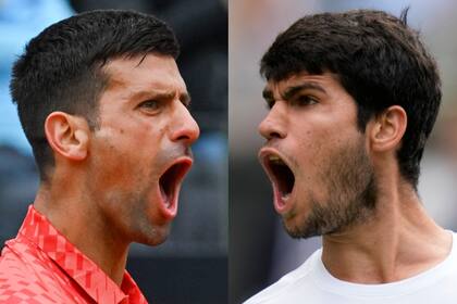 El serbio Novak Djokovic y el español Carlos Alcaraz, estarán cara a cara en una de las semifinales del ATP Finals 2023
