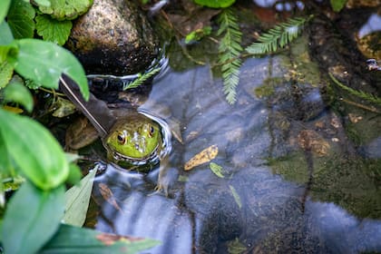 El Servicio de Parques Nacionales de Estados Unidos lanzó una extraña advertencia para sus visitantes