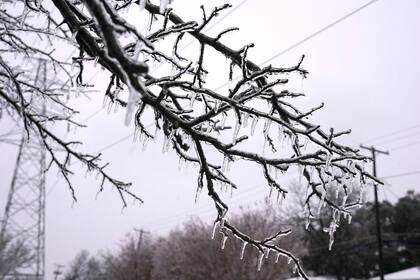 El Servicio Meteorológico Nacional (NWS) emitió una alerta de tormenta invernal desde el viernes al mediodía hasta el domingo 25 de enero