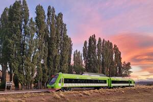 El servicio turístico del Tren Patagónico recorre unos 60 kilómetros desde Bariloche hasta la estación Perito Moreno