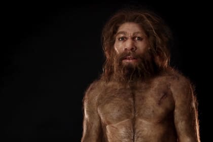 El sexo entre los humanos modernos primitivos y los neandertales no era un evento raro