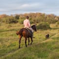 El silencio que habita: voces hondas de la pampa y sus raíces
