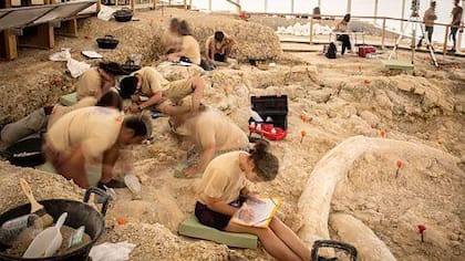“El Silicon Valley de la prehistoria": el pueblo de España donde se hallaron los restos humanos más antiguos de Europa