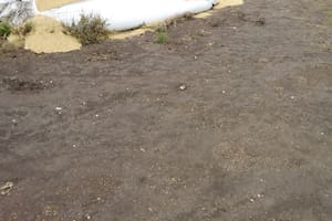 El silobolsa contenía 180 toneladas de cebada valuada en casi 4 millones de pesos