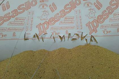 El silobolsa tenía inscrito: La Campora