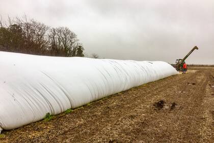 El silobolsa, una solución de almacenaje que requiere ser protegida